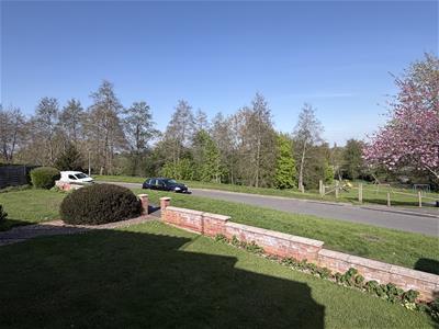 Picture 20
